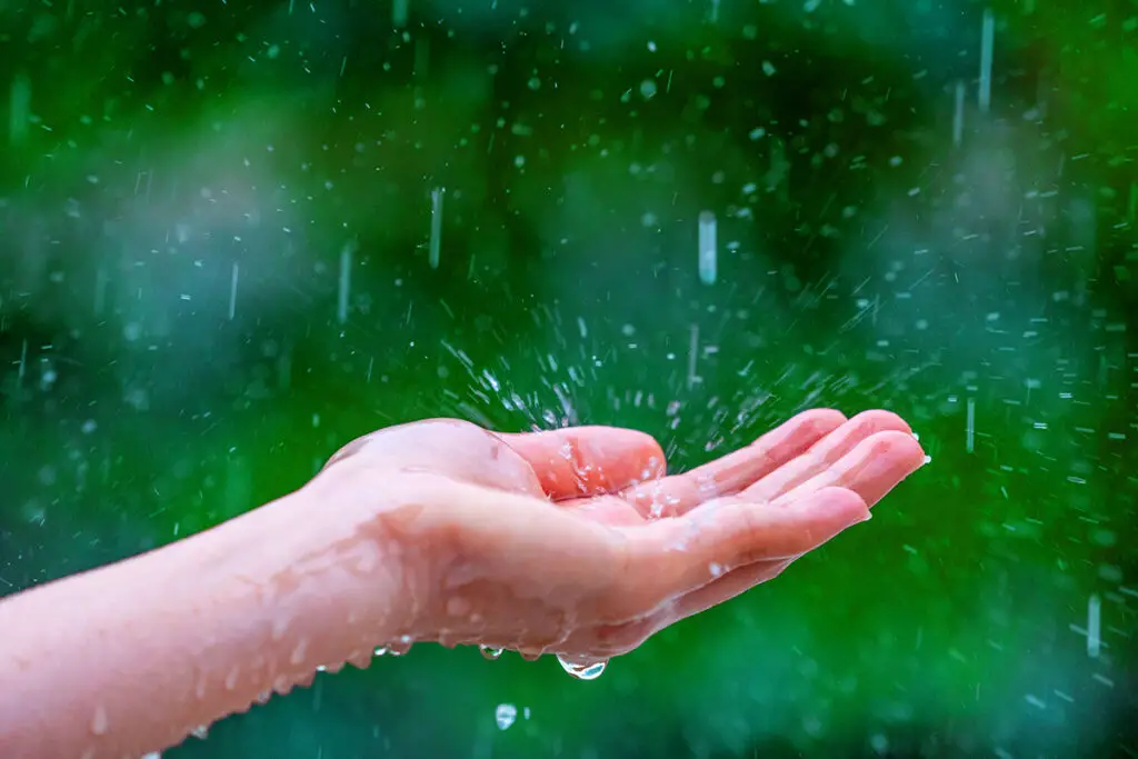 Is Rain a Sign of Good Luck? – CoManifesting – Manifest With The Law of ...